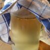 Kombuchasvamp SCOBY | Kombuchasvamp, kombucha, fermentering