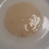 Kombucha-svamp