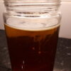 Kombucha-SCOBY - Bild 5