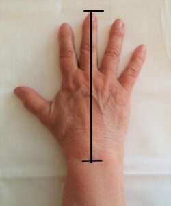 Handens längd